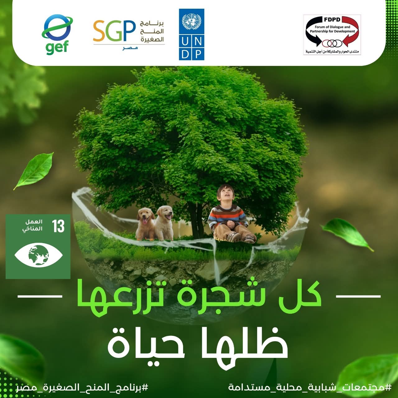 زراعة الأشجار كثيفة الظل بمراكز الشباب لتعزيز الاستدامة البيئية المجتمعية